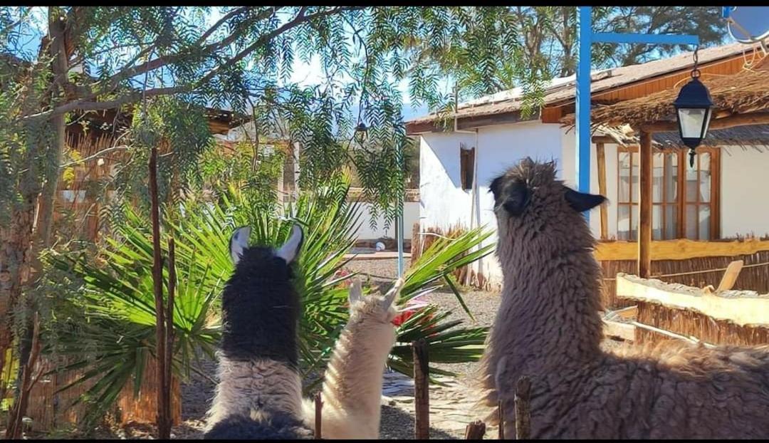 Cabanas Voyage Atacama San Pedro de Atacama Exterior foto